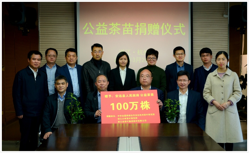 6686体育(中国)官方网站联合捐赠百万株公益茶苗  助力江西省安远县脱贫攻坚