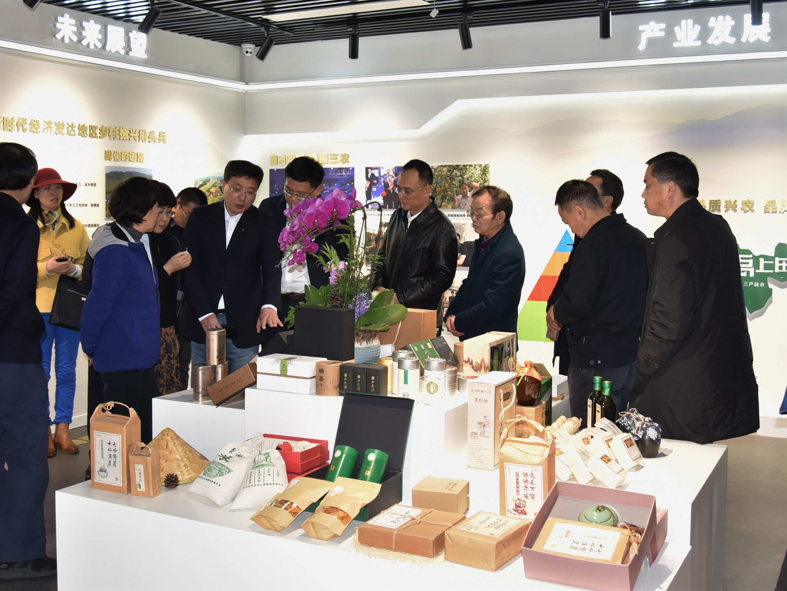 四川省政协副主席祝春秀一行考察6686体育(中国)官方网站茶博园