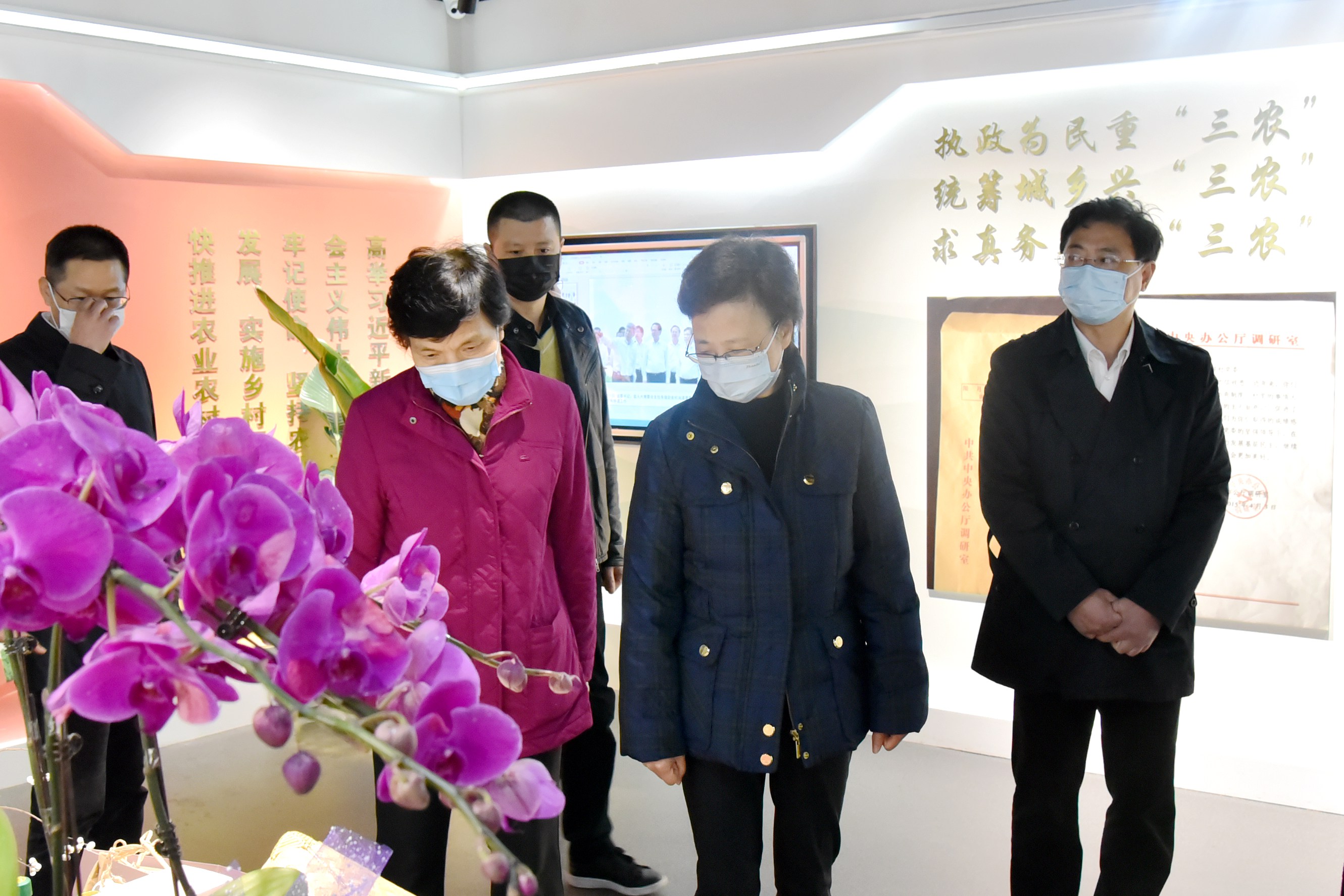 浙江省人大常委会梁黎明书记一行莅临6686体育(中国)官方网站调研